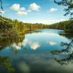Les a jezero ve Finsku za slunečného dne