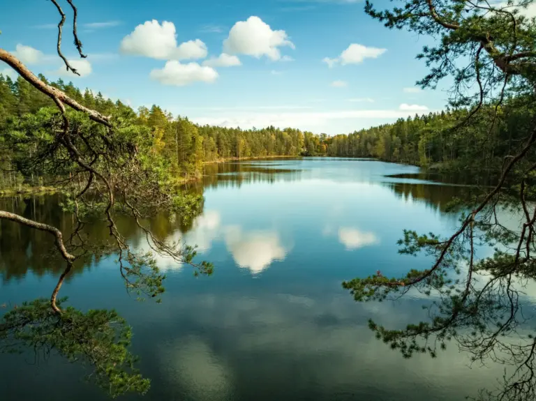 Les a jezero ve Finsku za slunečného dne